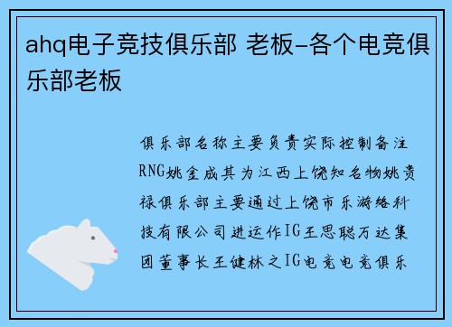 ahq电子竞技俱乐部 老板-各个电竞俱乐部老板